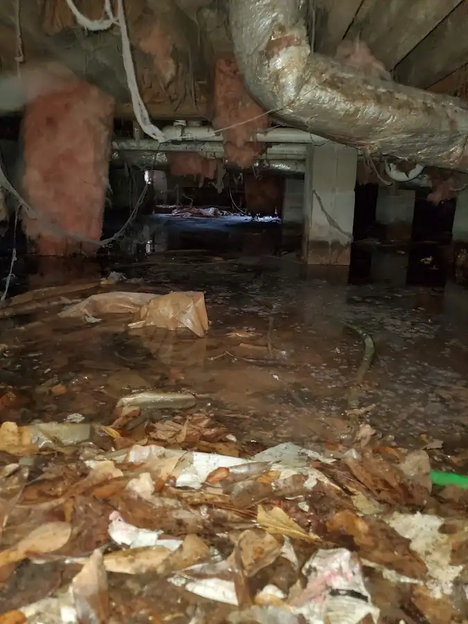 Crawl space flood assessment for Commercial Water Damage Restoration in Arlington